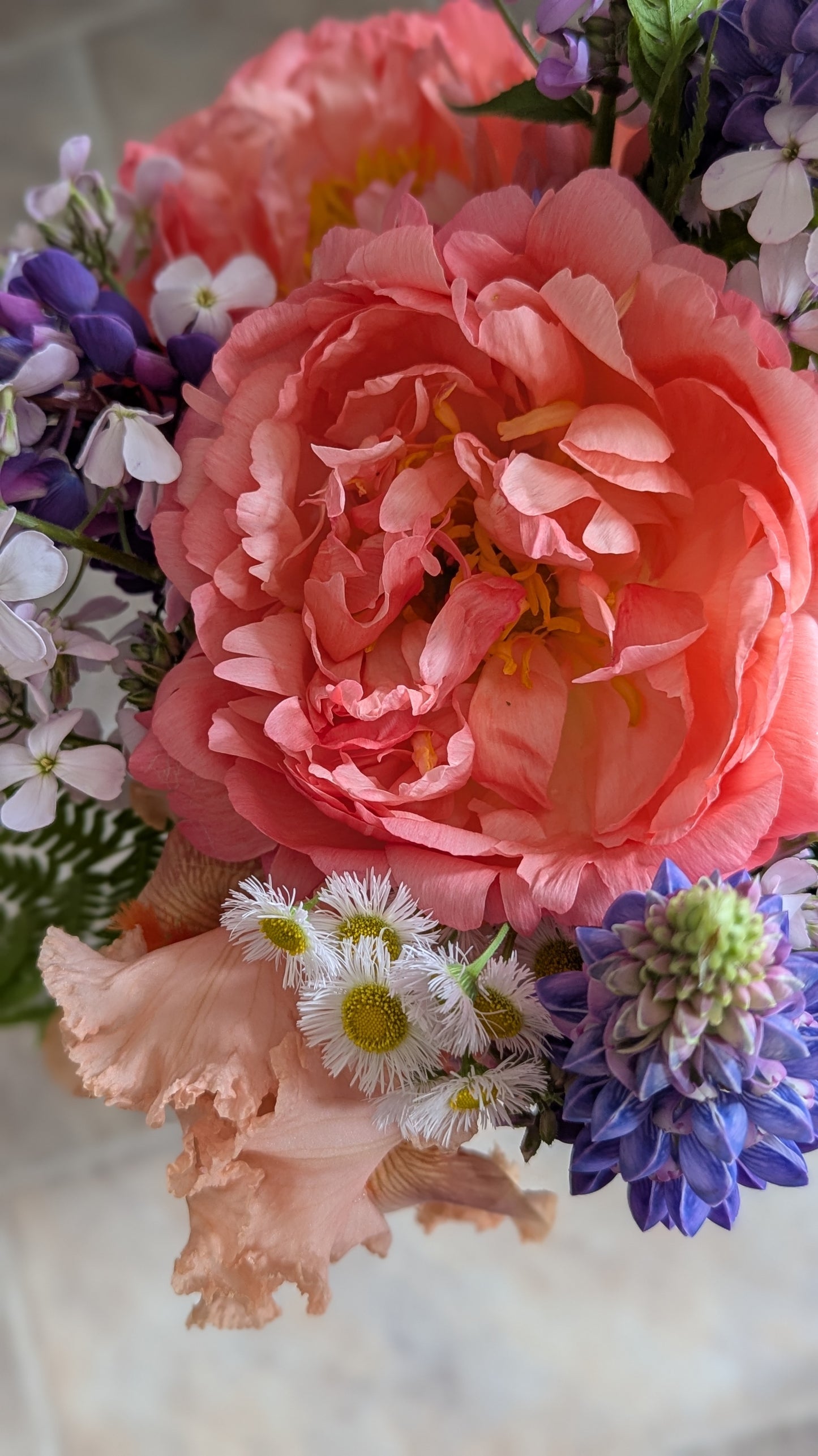 Coral peony bouquet (wrapped bunch) local pickup only -- Saturday, May 23 🌸 8a-8p
