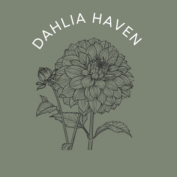 Dahlia Haven