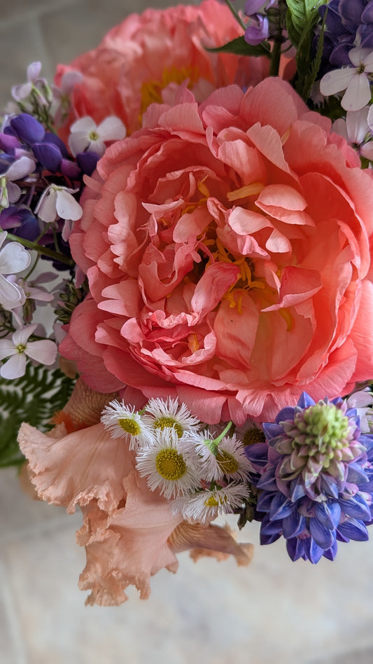 Coral peony bouquet (wrapped bunch) local pickup only -- Saturday, May 23 🌸 8a-8p