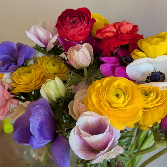 Ranunculus and Anemone bunches (10stems) LOCAL PICKUP ONLY on June 4🌸 8am-8pm🌸