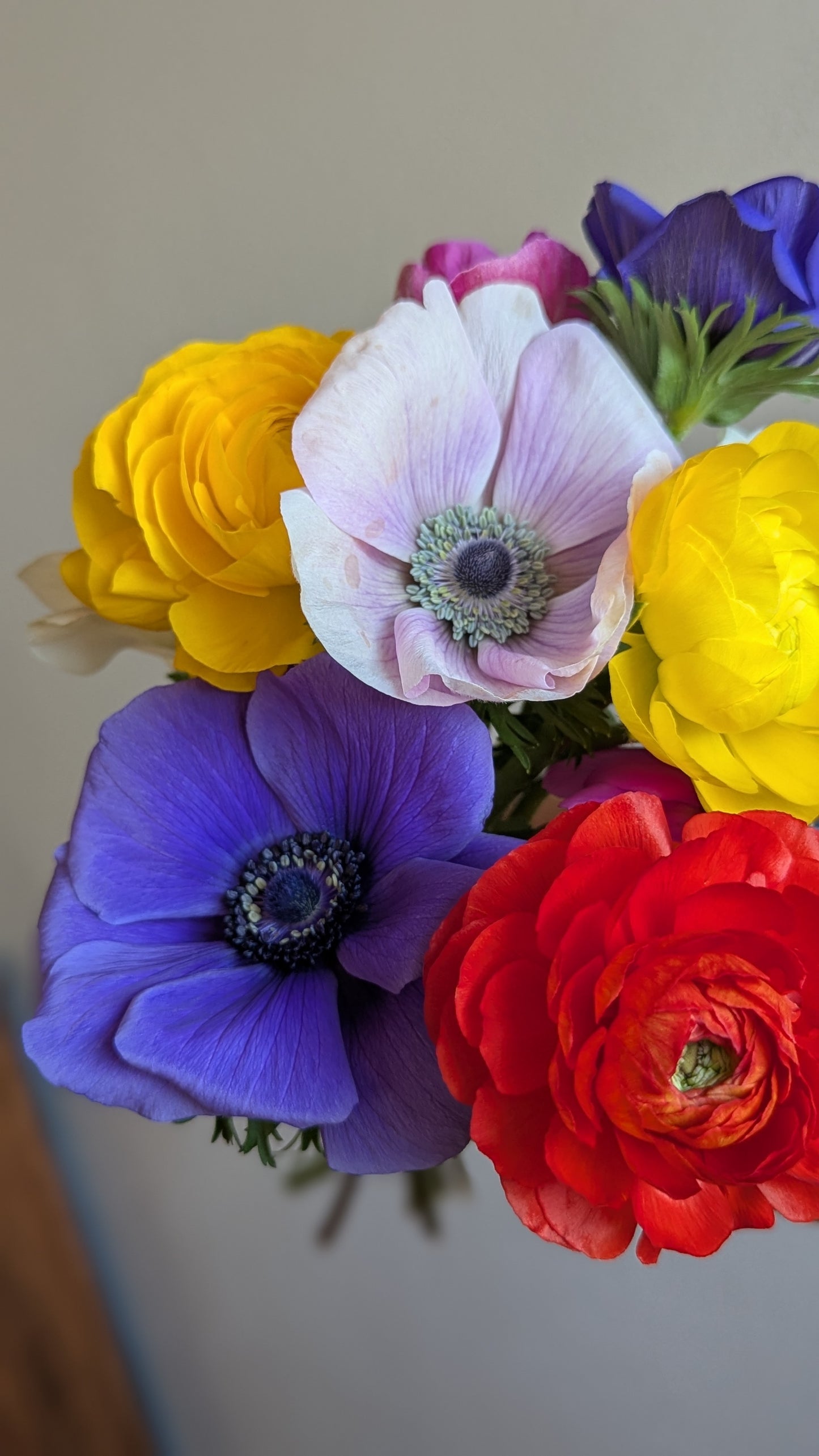 Ranunculus and Anemone bunches (10stems) LOCAL PICKUP ONLY on June 4🌸 8am-8pm🌸