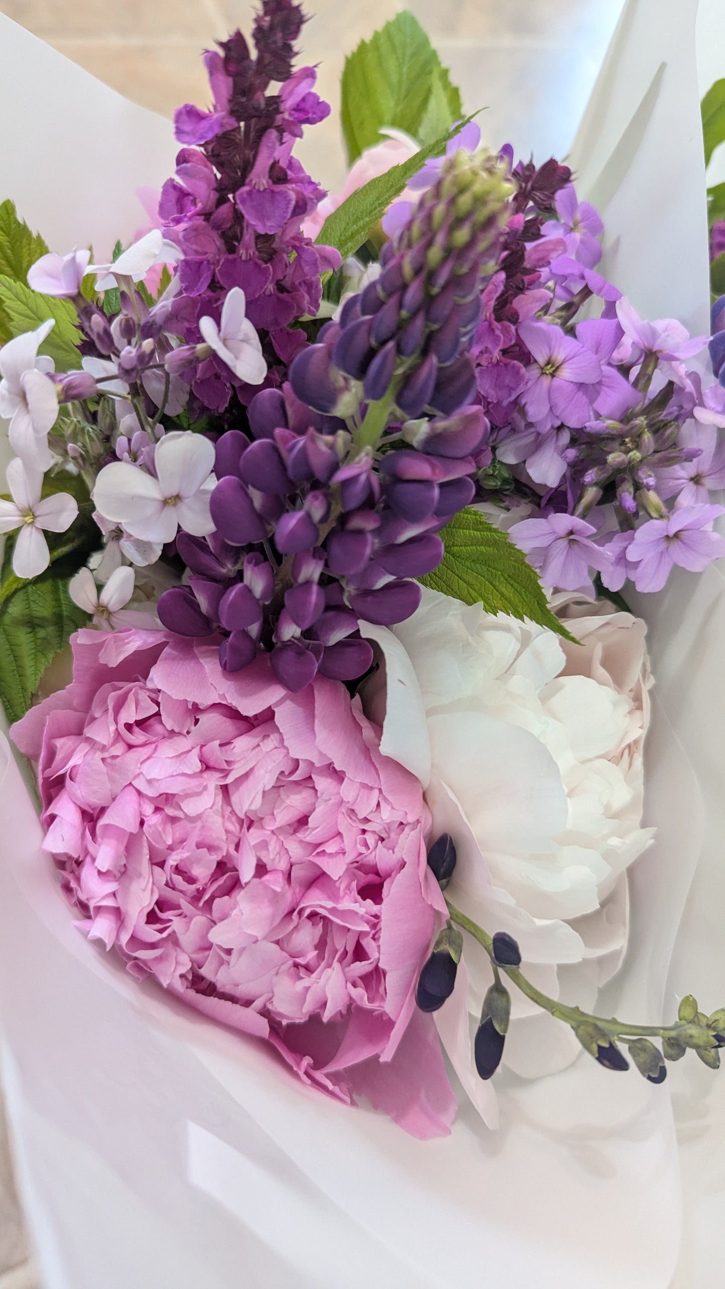Pink/purple/blush peony bouquet (wrapped bunch) local pickup only -- Saturday, May 23 🌸 8a-8p