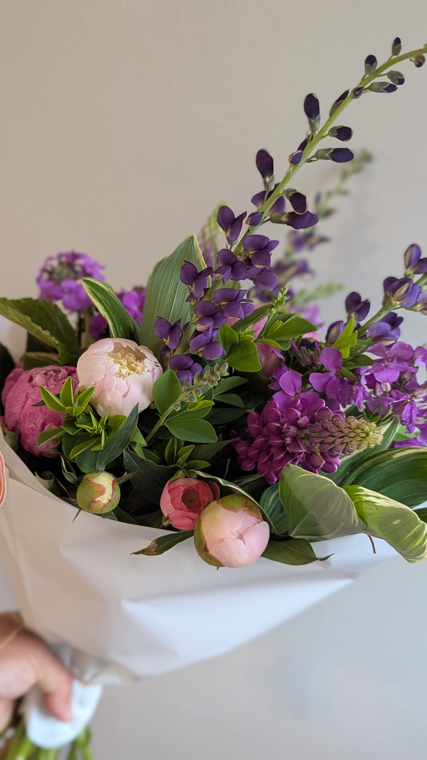 Pink/purple/blush peony bouquet (wrapped bunch) local pickup only -- Saturday, May 23 🌸 8a-8p
