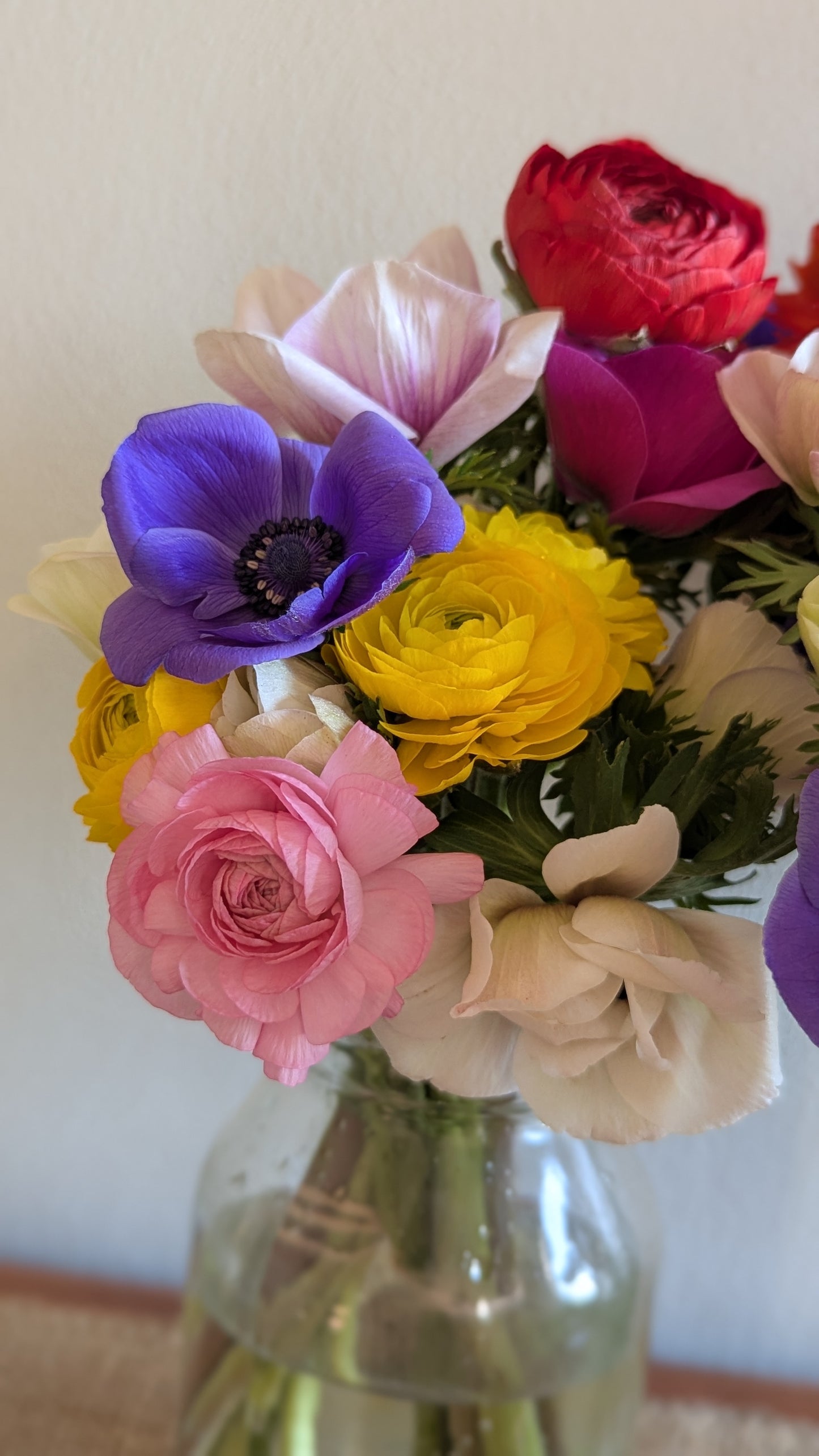 Ranunculus and Anemone bunches (10stems) LOCAL PICKUP ONLY on June 4🌸 8am-8pm🌸